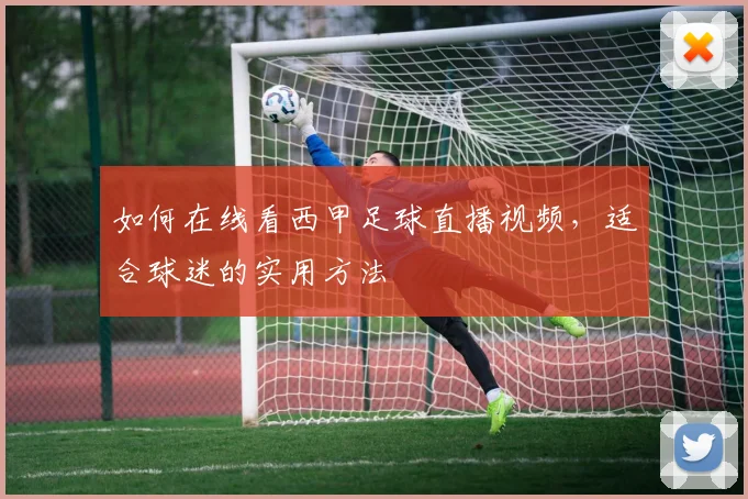 如何在线看西甲足球直播视频，适合球迷的实用方法