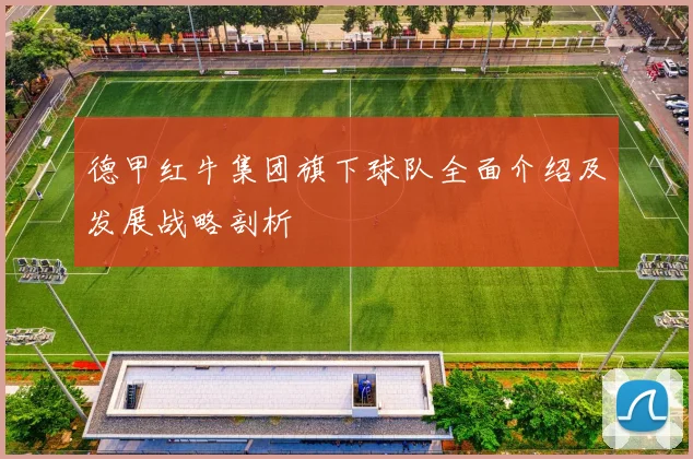 德甲红牛集团旗下球队全面介绍及发展战略剖析