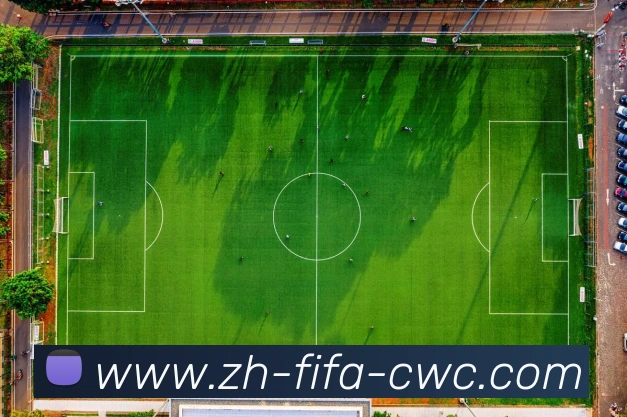 数据防护可视化